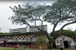 Blk 87 Circuit Road (Geylang), HDB 3 Rooms #350959651